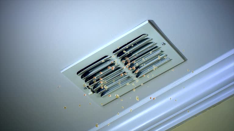 Best Air Duct Cleaning Near Me  in Makakilo, HI
